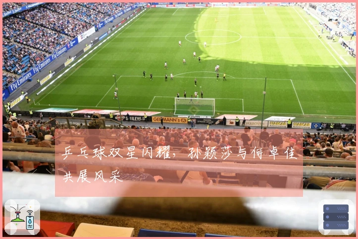 乒乓球双星闪耀，孙颖莎与何卓佳共展风采